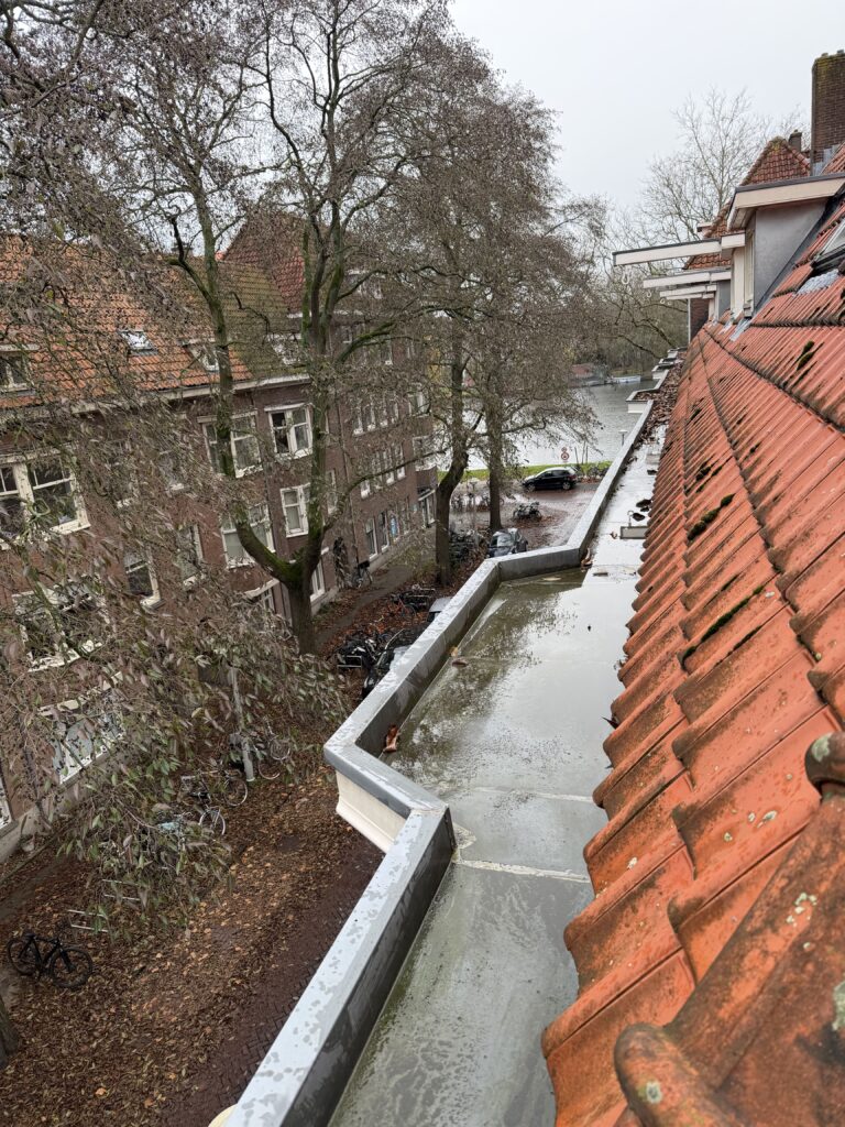 Gereinigde Dakgoot